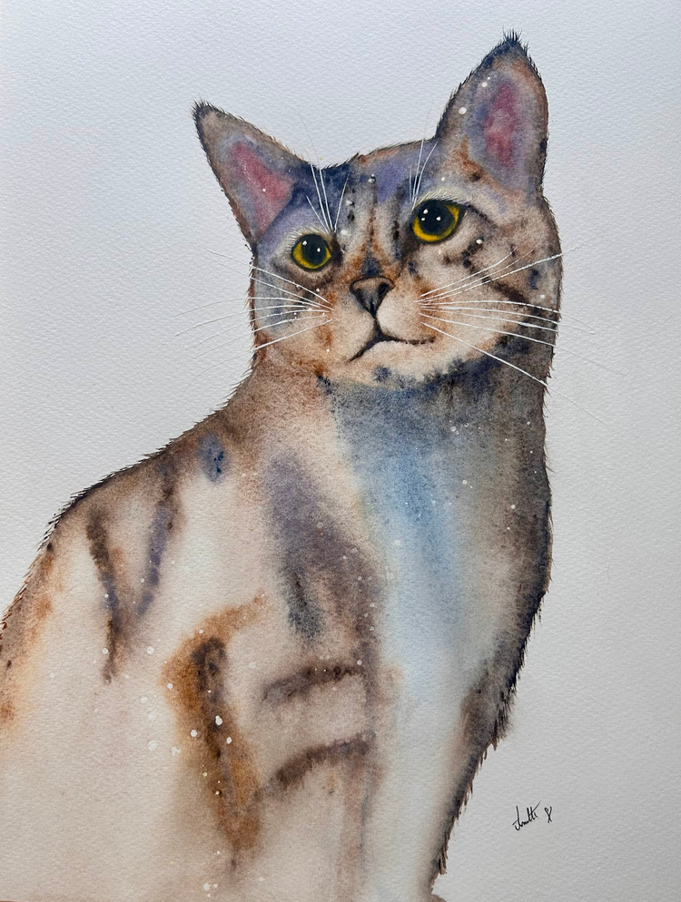 Limited edition prints
