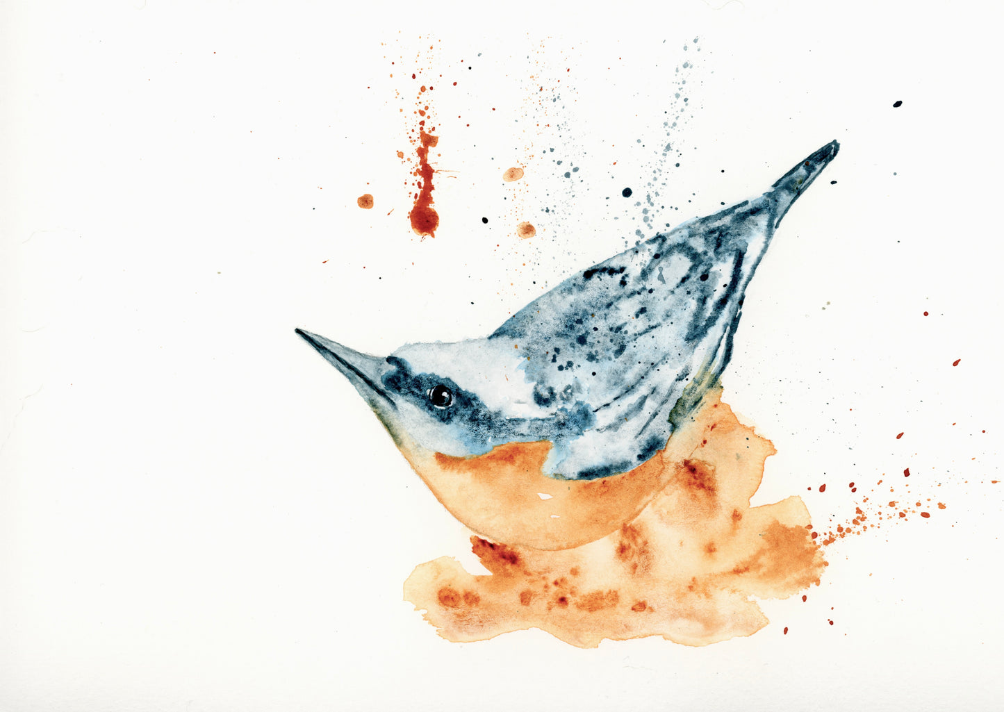 Fine art Greeting Card of a bird.