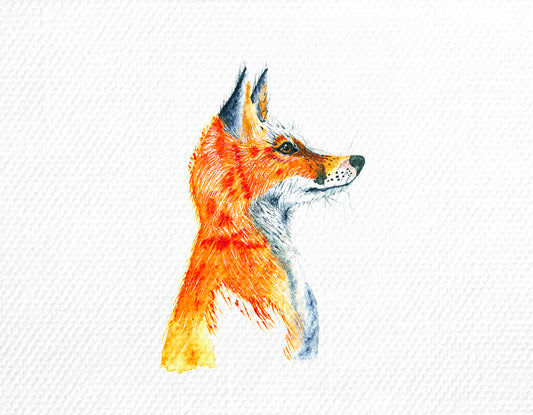 Foxy
