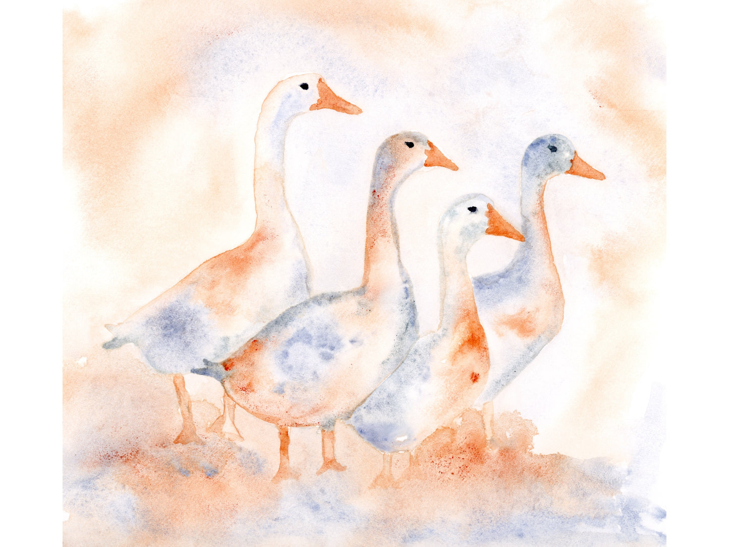 Geese Greeting Card