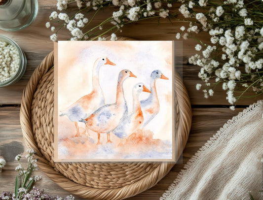 Geese Greeting Card