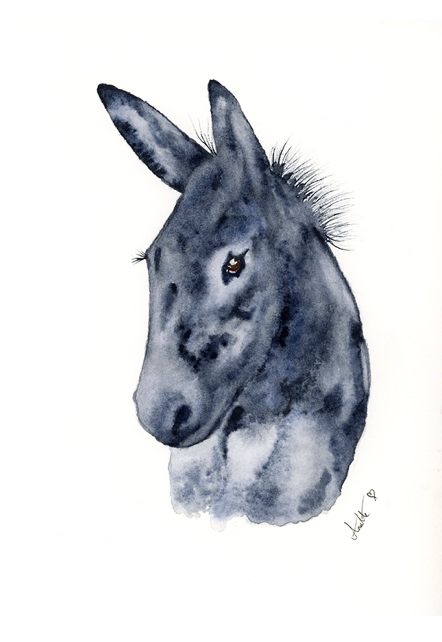 Donkey Giclee print Limited Edition