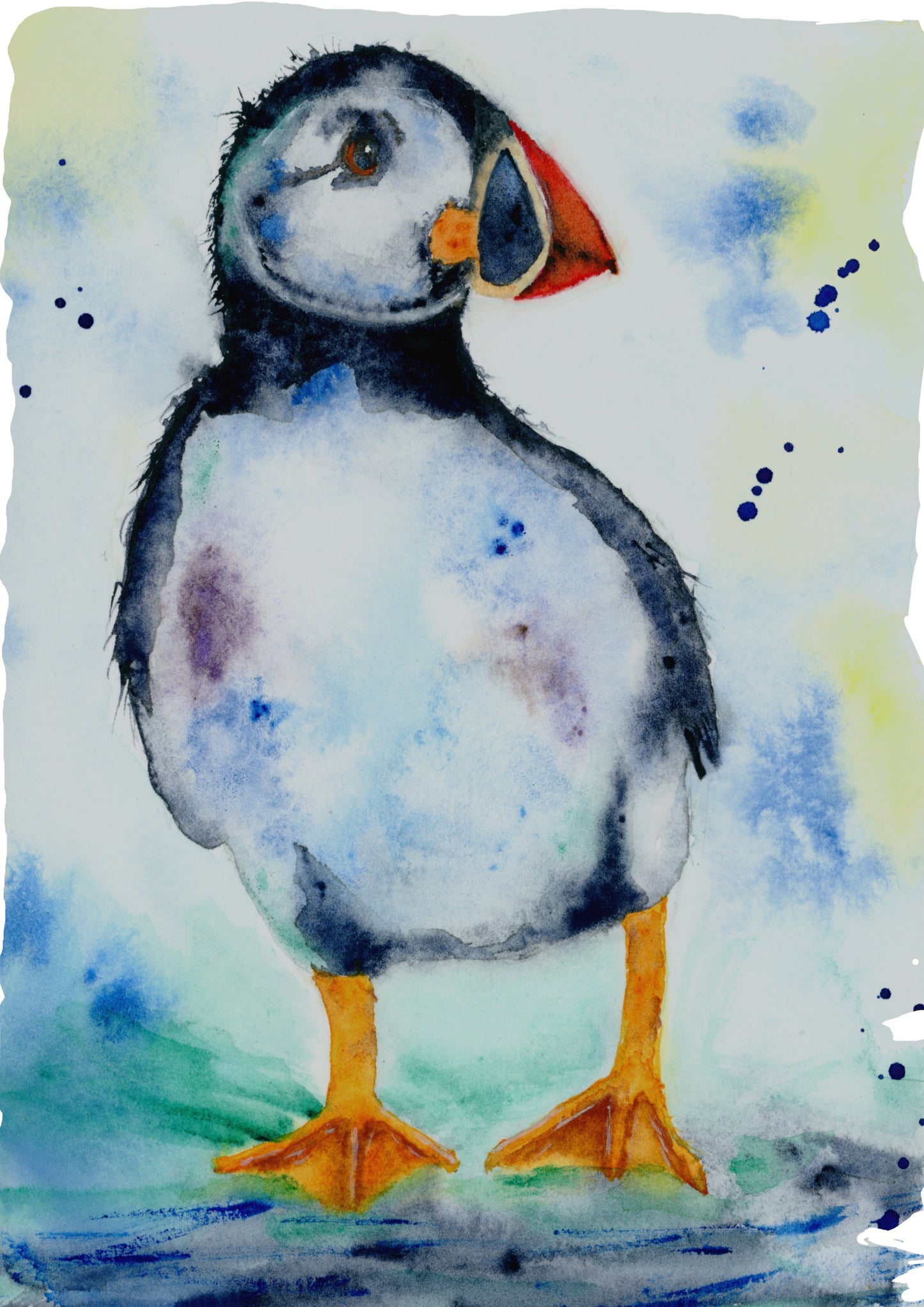 Puffin Greeting Card