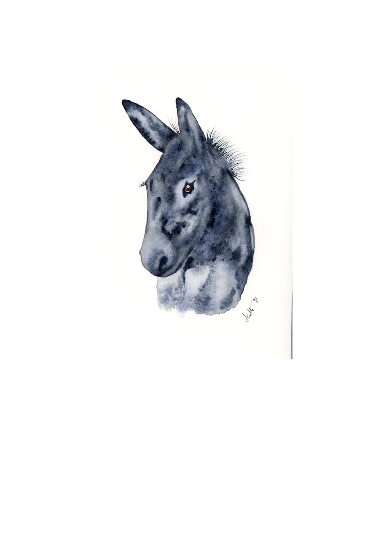 Donkey Giclee print Limited Edition