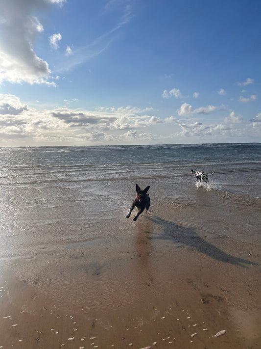Trip to Devon