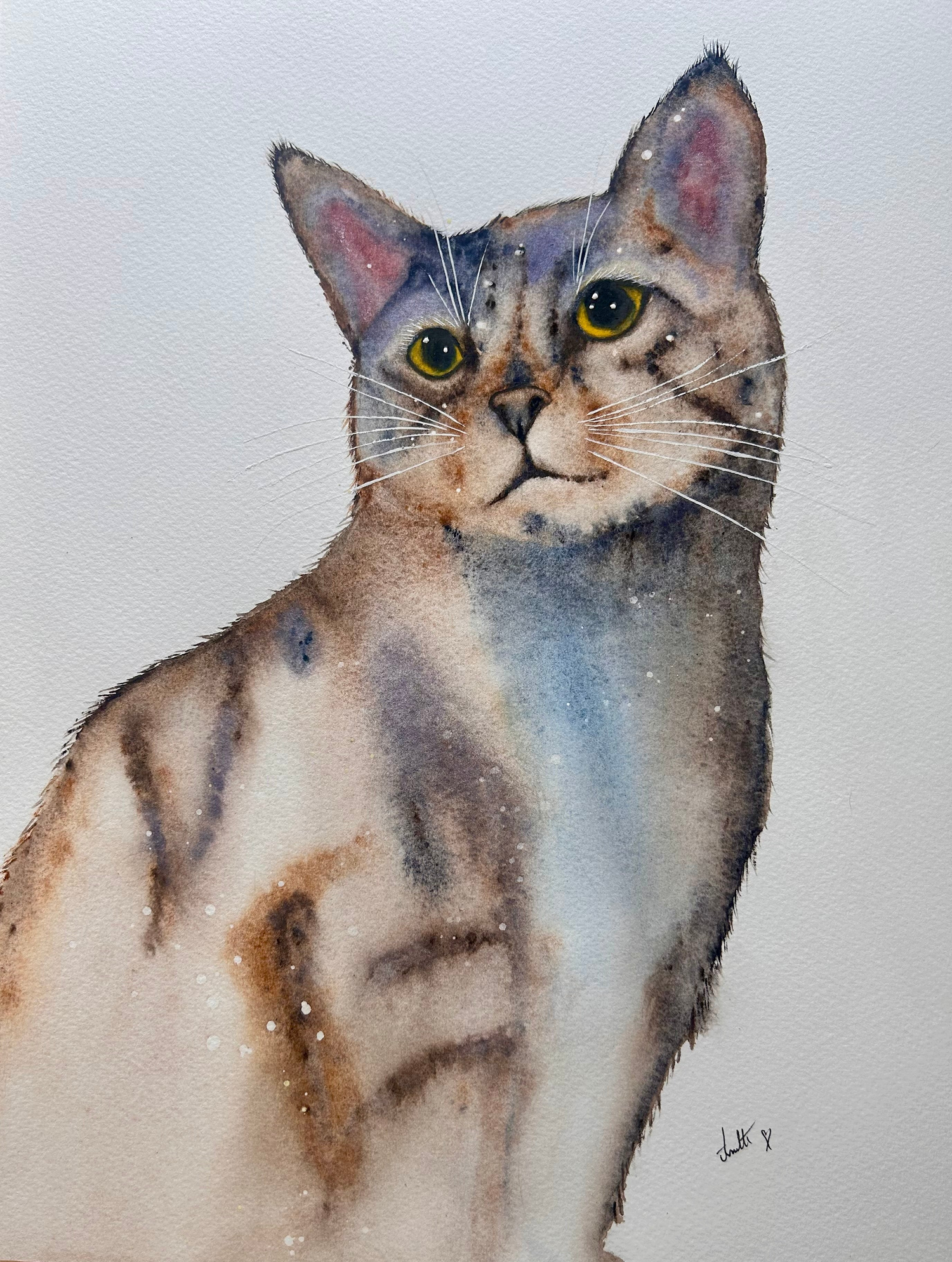 Limited edition prints