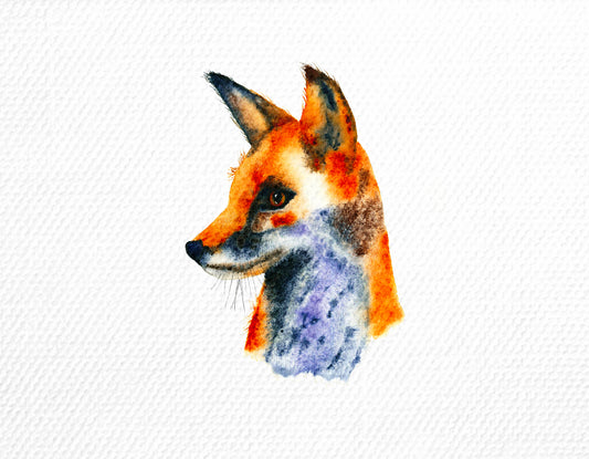Fox Greeting Card
