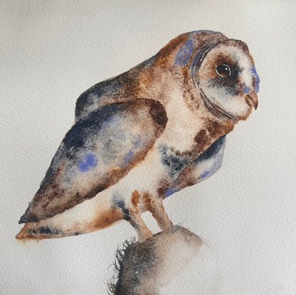 Original Hand Painted Owl watercolour painting