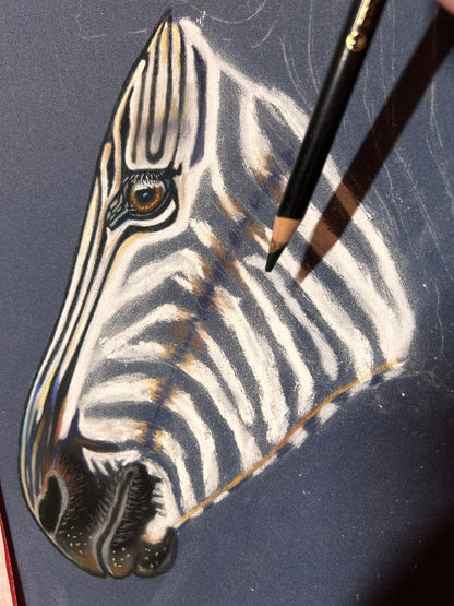 Original Hand Painted Pastel Art Zebra