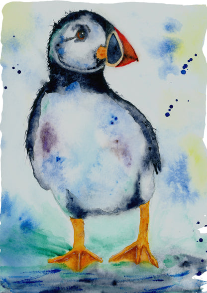 Puffin Greeting Card