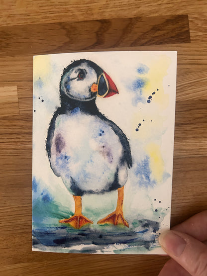 Puffin Greeting Card